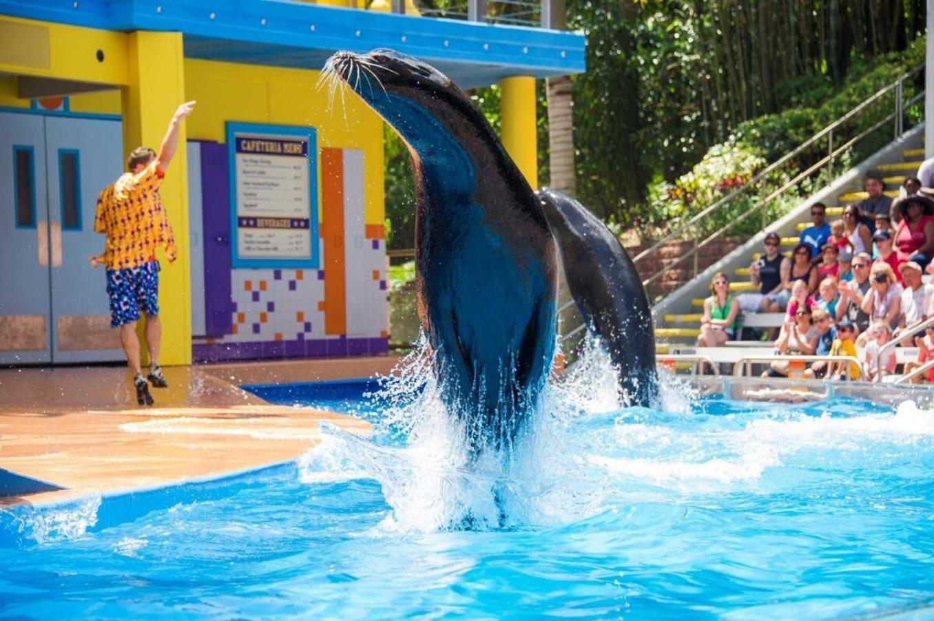 Superb House By Seaworld, Private Pool & Gameroom San Antonio Luaran gambar